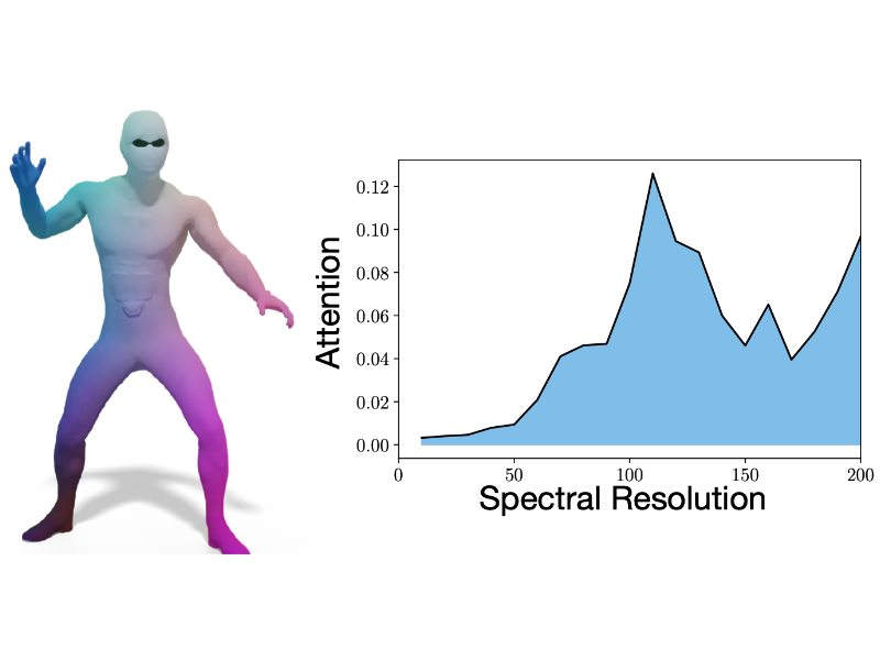 Learning Multi-resolution Functional Maps with Spectral Attention for Robust Shape Matching