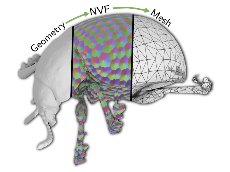 TriFlow: Generating Artist-Like 3D Mesh Topology via Nearest-Vertex Vector Fields